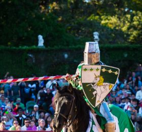 Green Knight Jousting